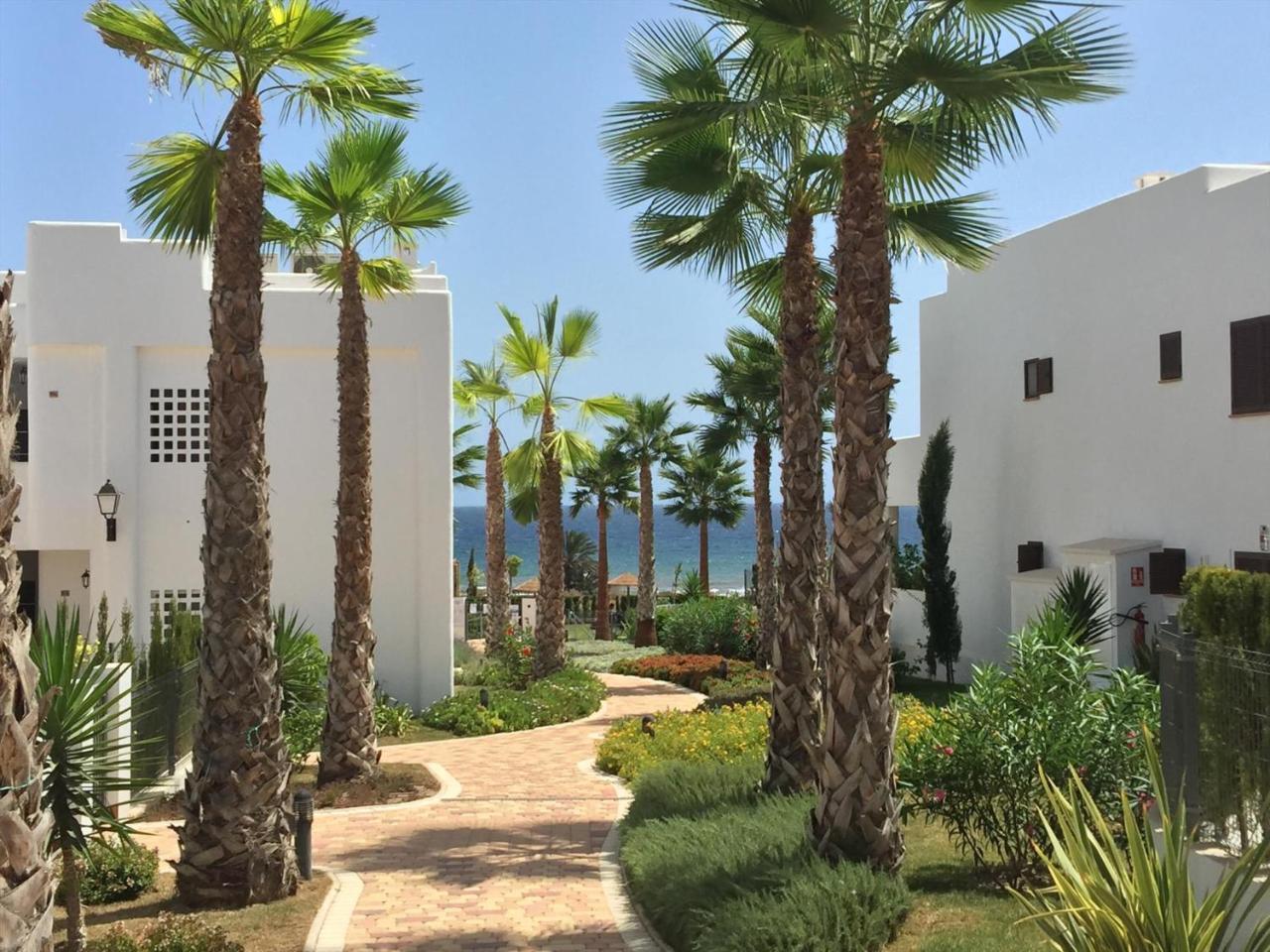 Mango Daire San Juan de los Terreros Dış mekan fotoğraf